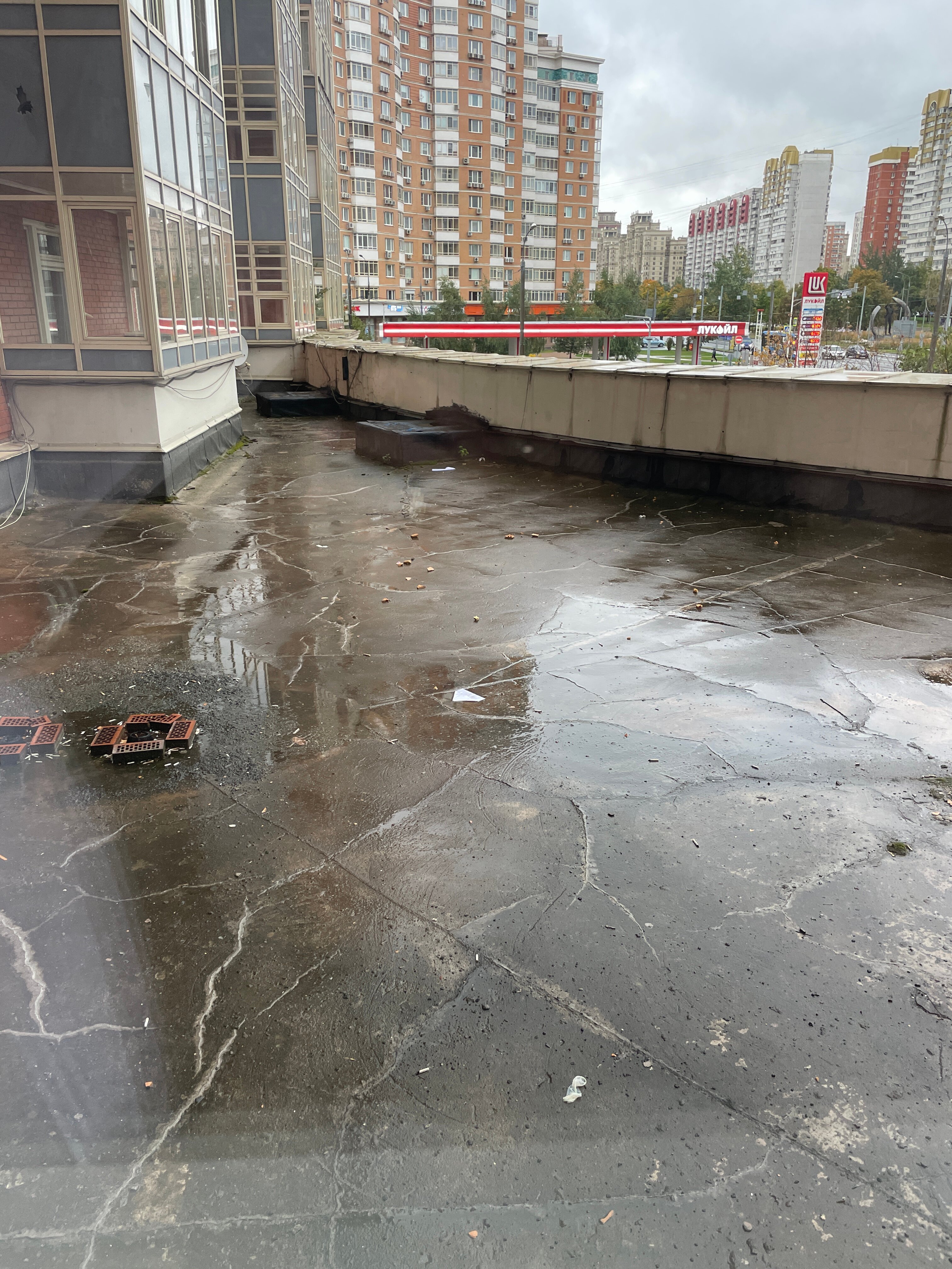 Фото Ломоносов