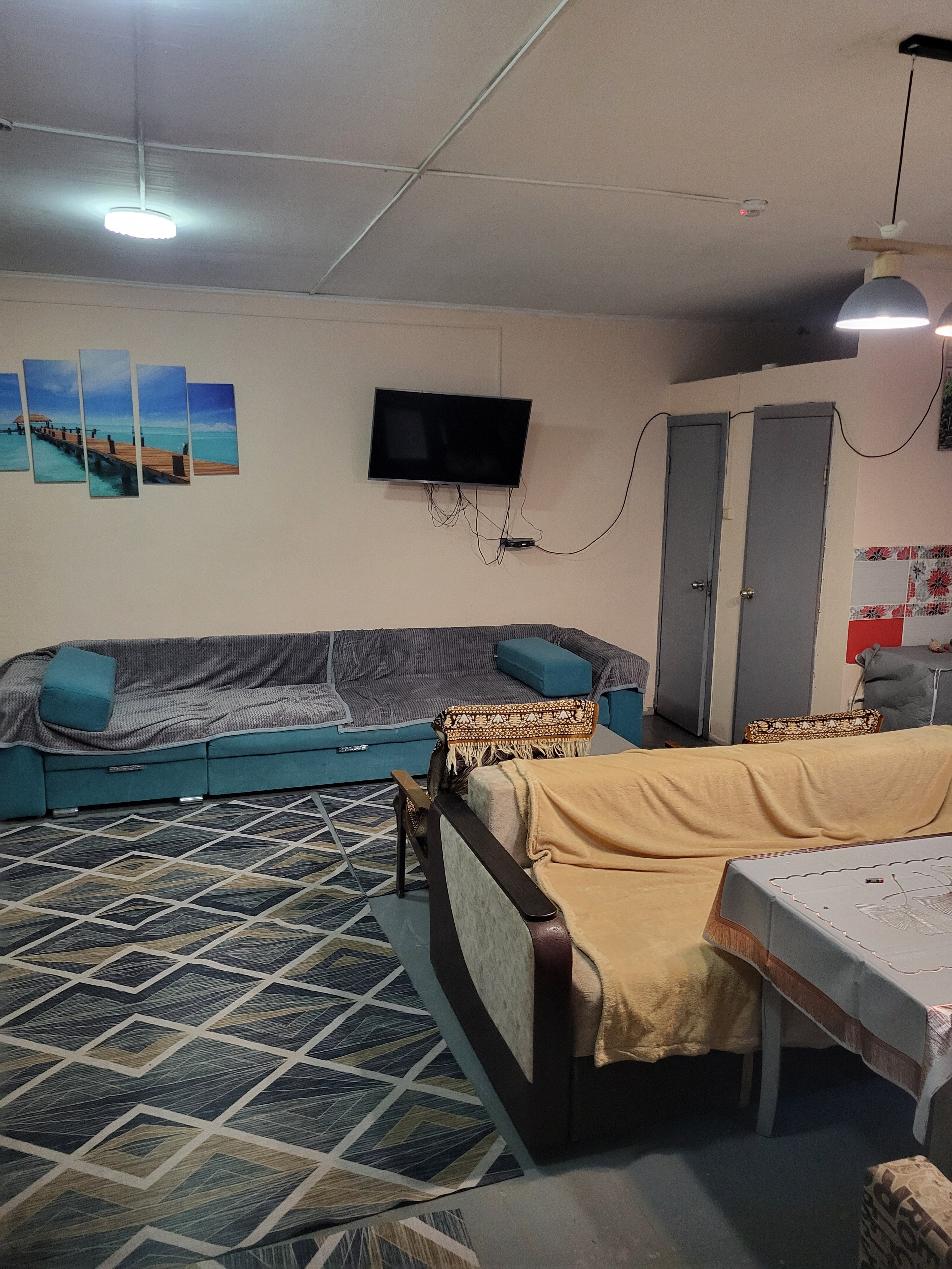 Фото Ромашка