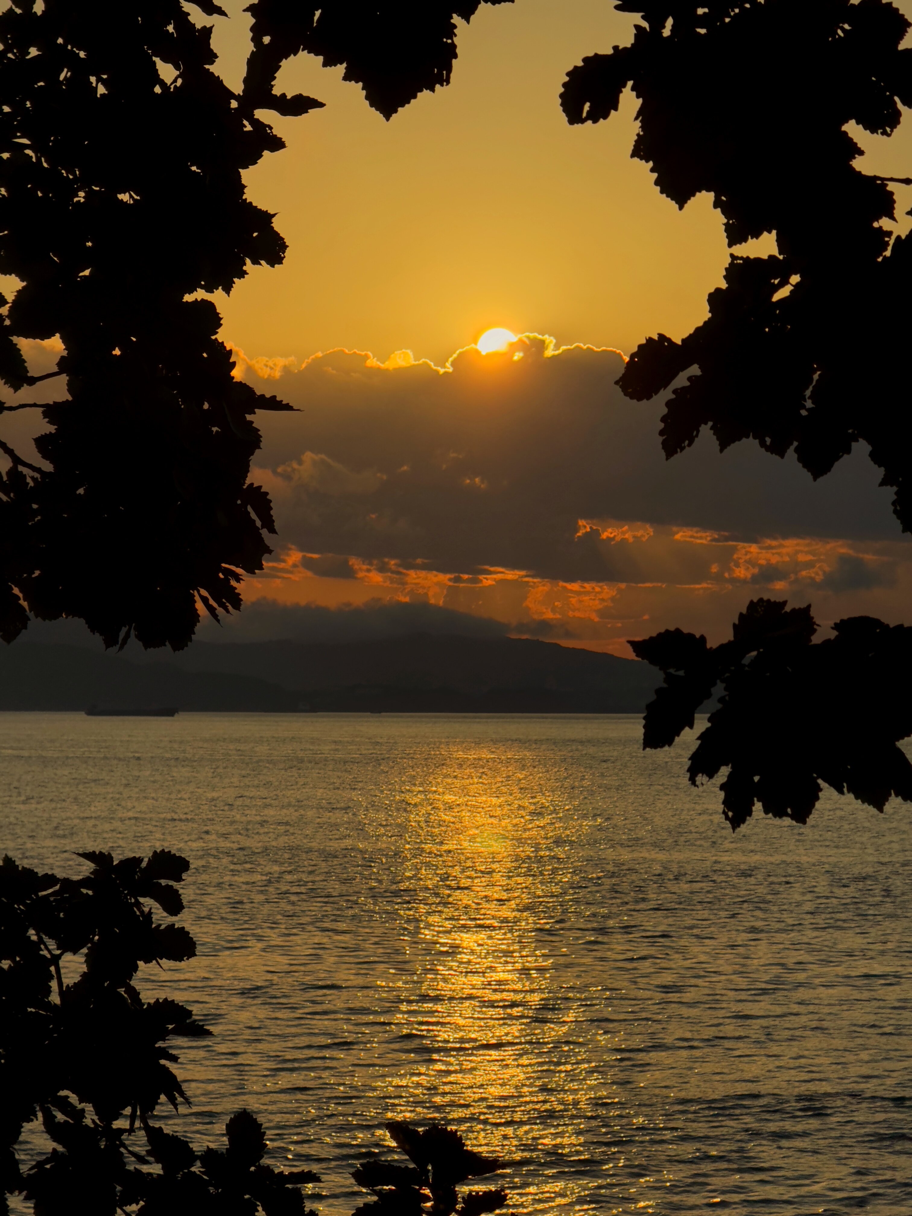 Фото База отдыха Шалле