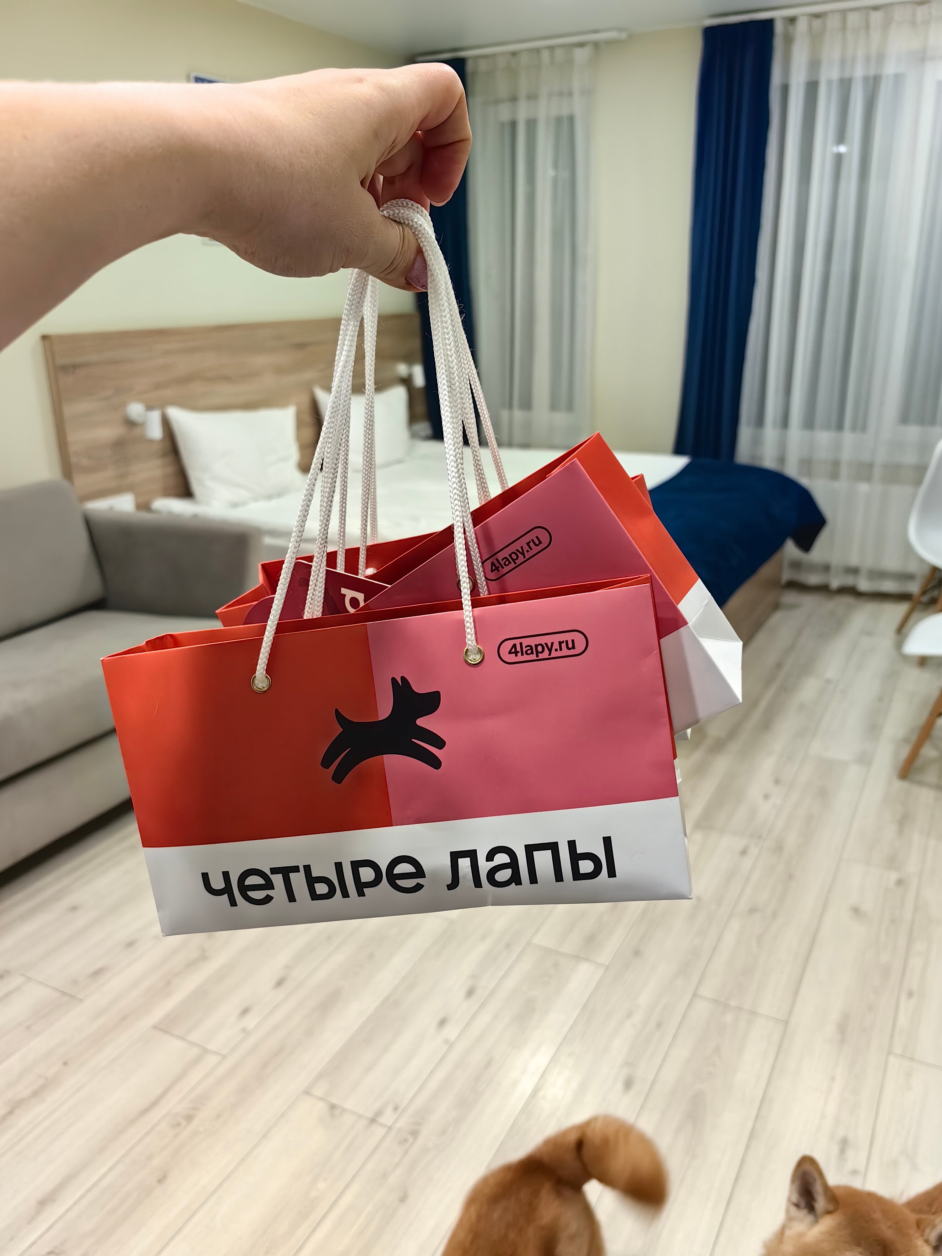 Фото Best Western Zoom Hotel