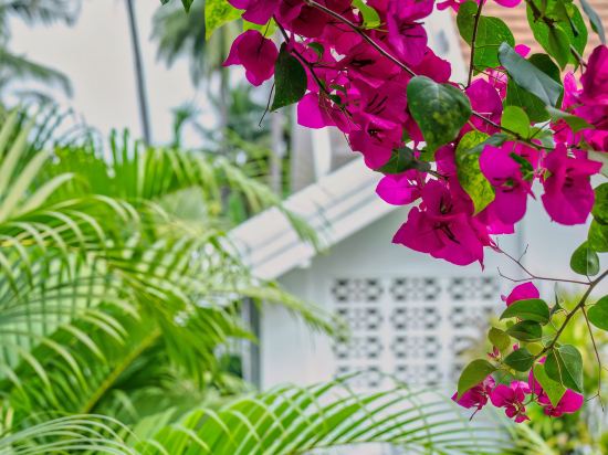 Фото Chic Stay Hana