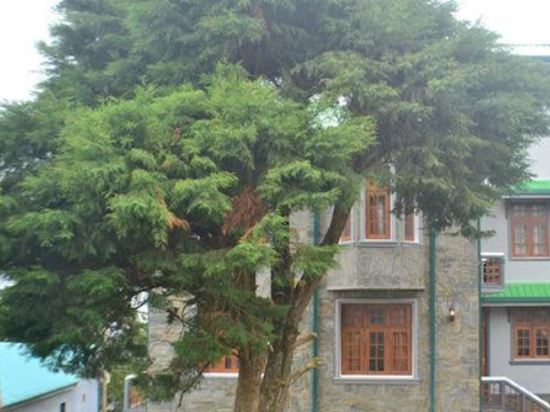 Фото Heaven Seven Nuwara Eliya