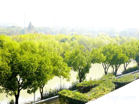 Фото 220488435196