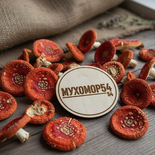 Новосибирск-мухомор 54, выращивание и продажа грибов — Яндекс Карты