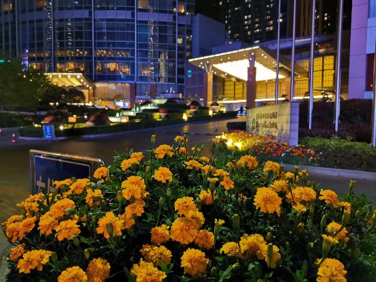 Фото Shangri-La Qingdao