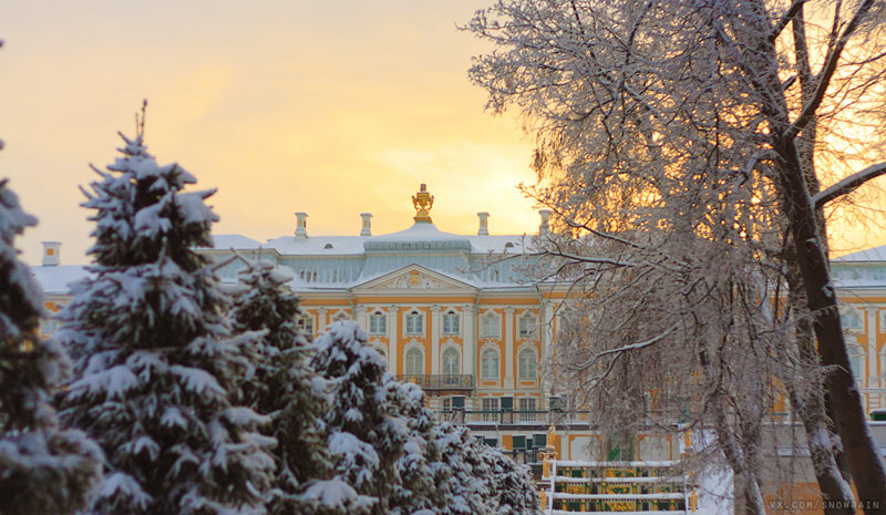 Фото Университетская