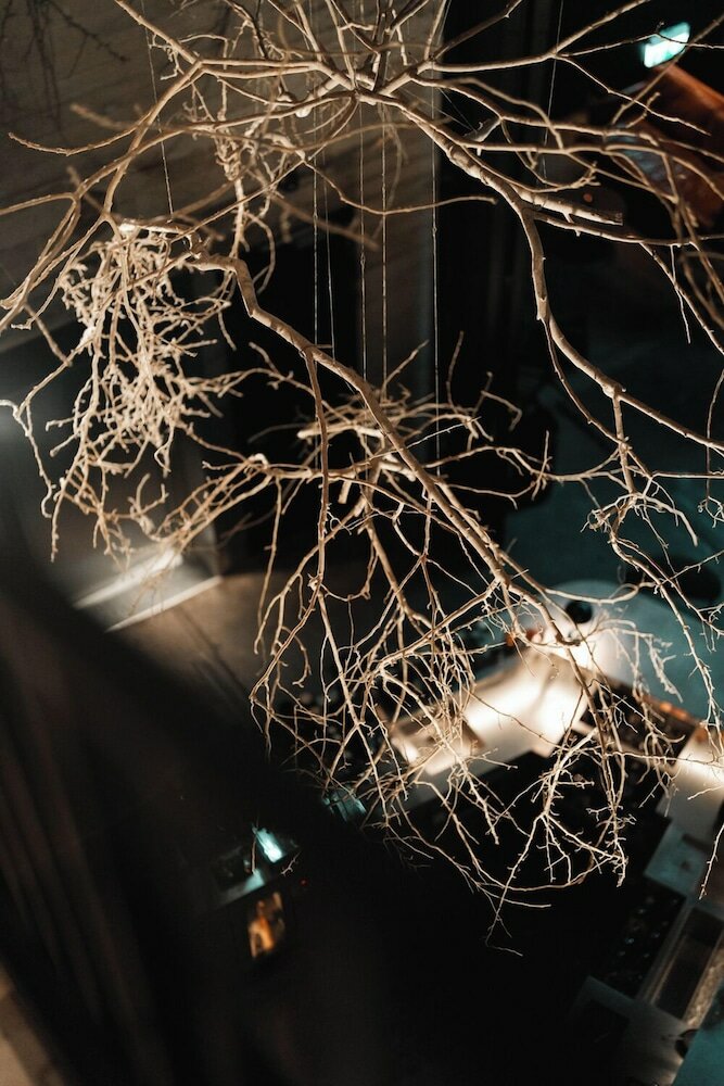 Фото 58145026450