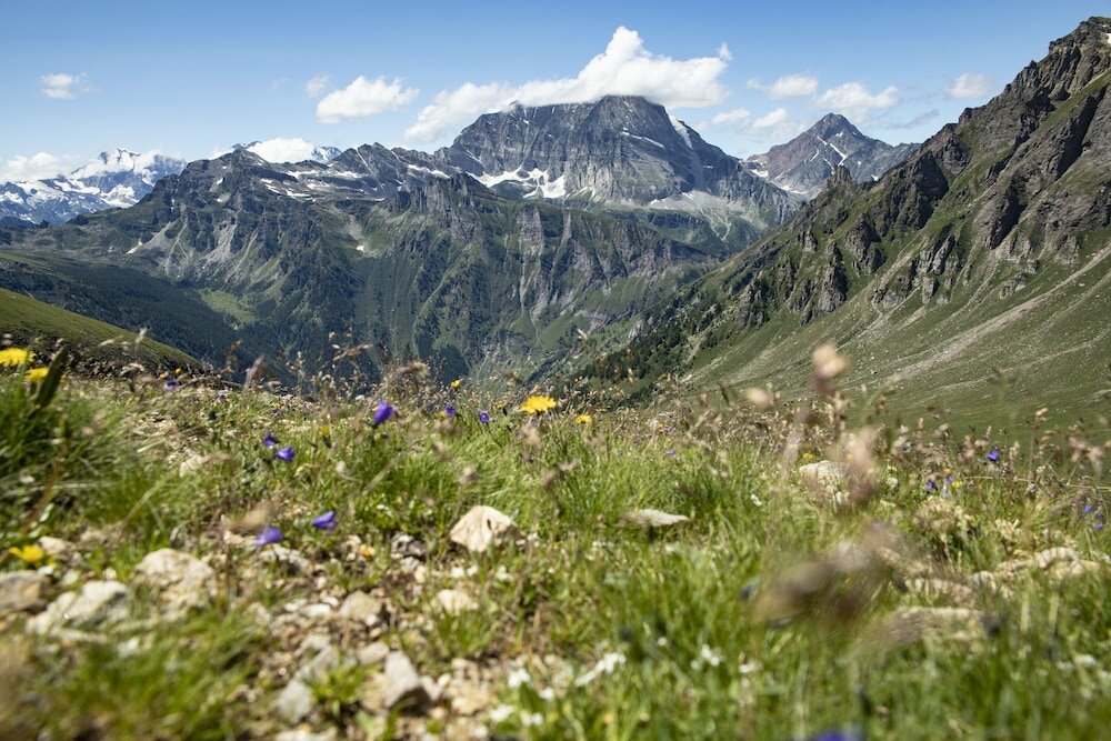 Фото Hotel La Vetta