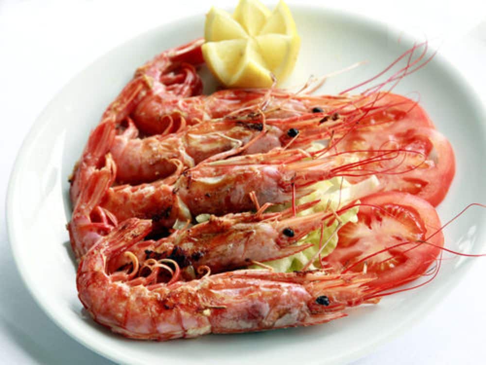 Фото Hotel Excelsior Splendide