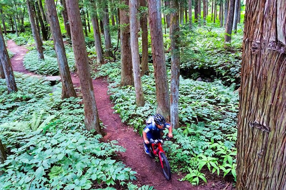 Фото Shakespeare Hotel