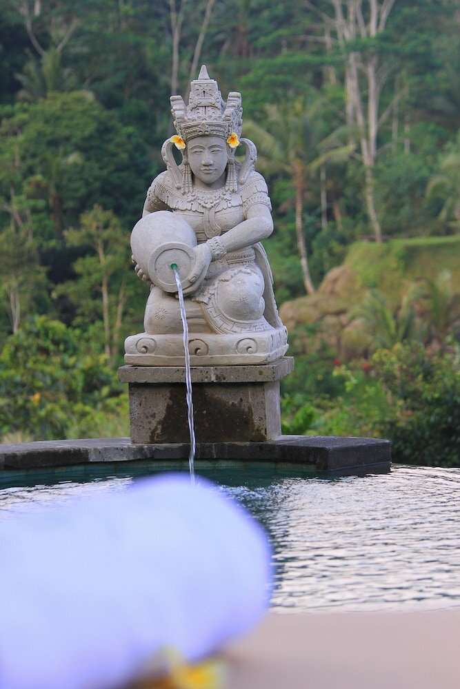 Фото The Kayon Jungle Resort