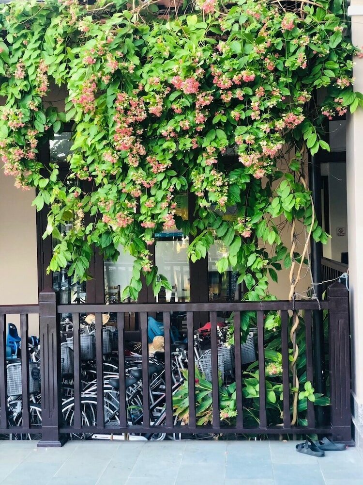 Фото Sunshine Hotel