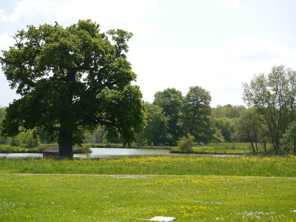 Фото The Lighthouse