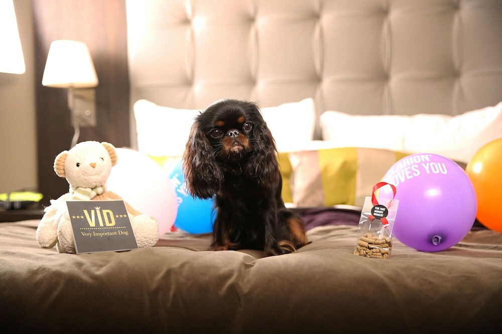 Фото Clarion Hotel Admiral