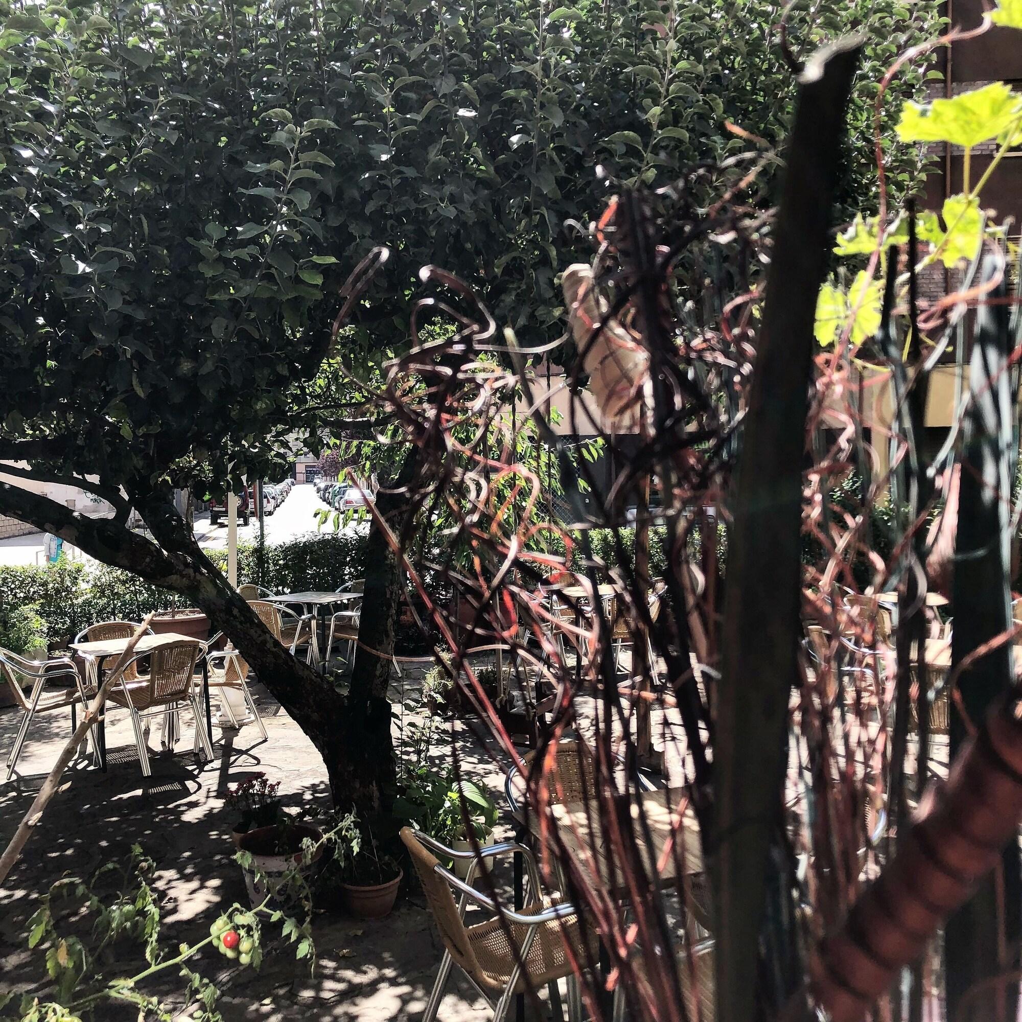 Фото Hotel A Nieu