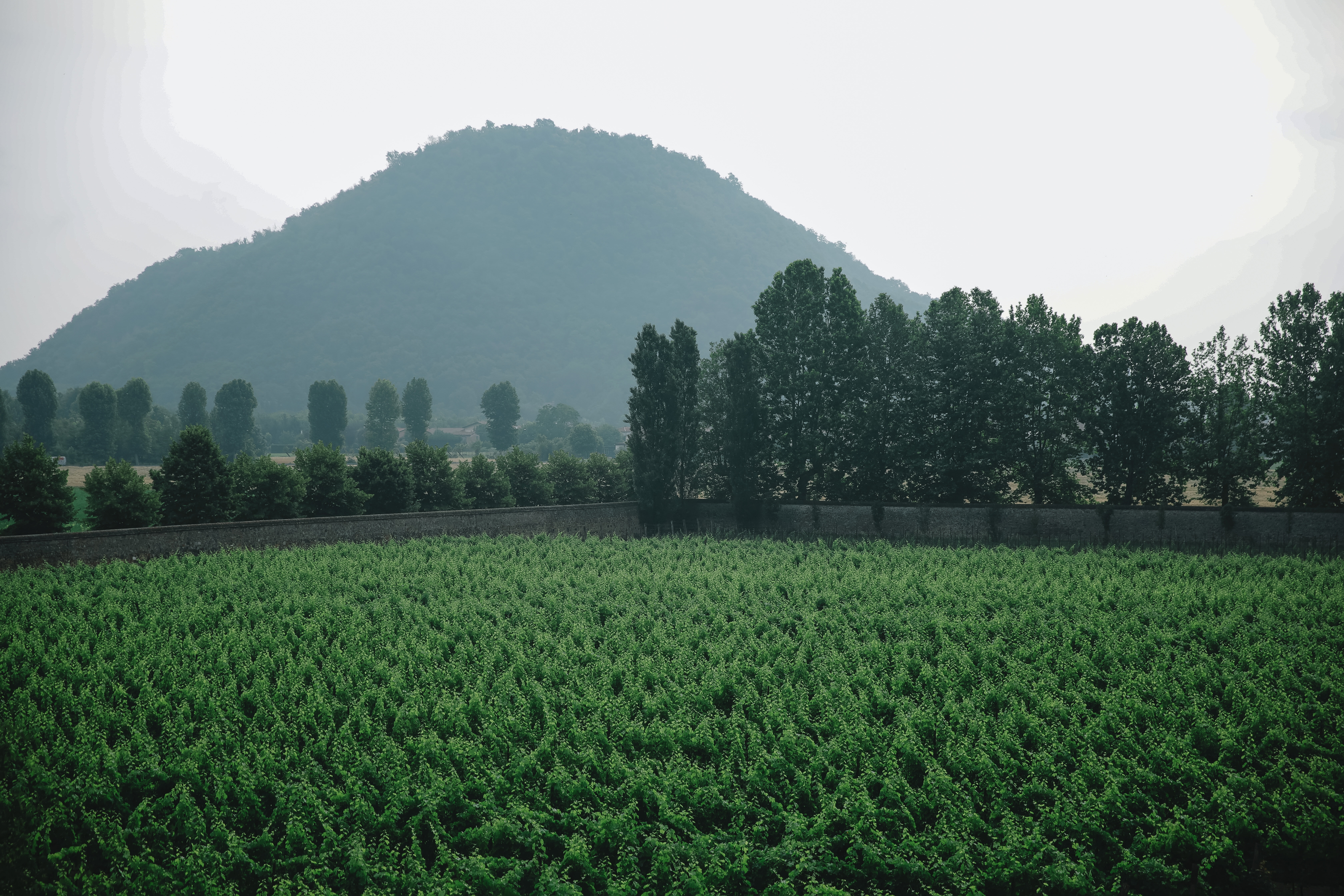 Фото President Terme Hotel