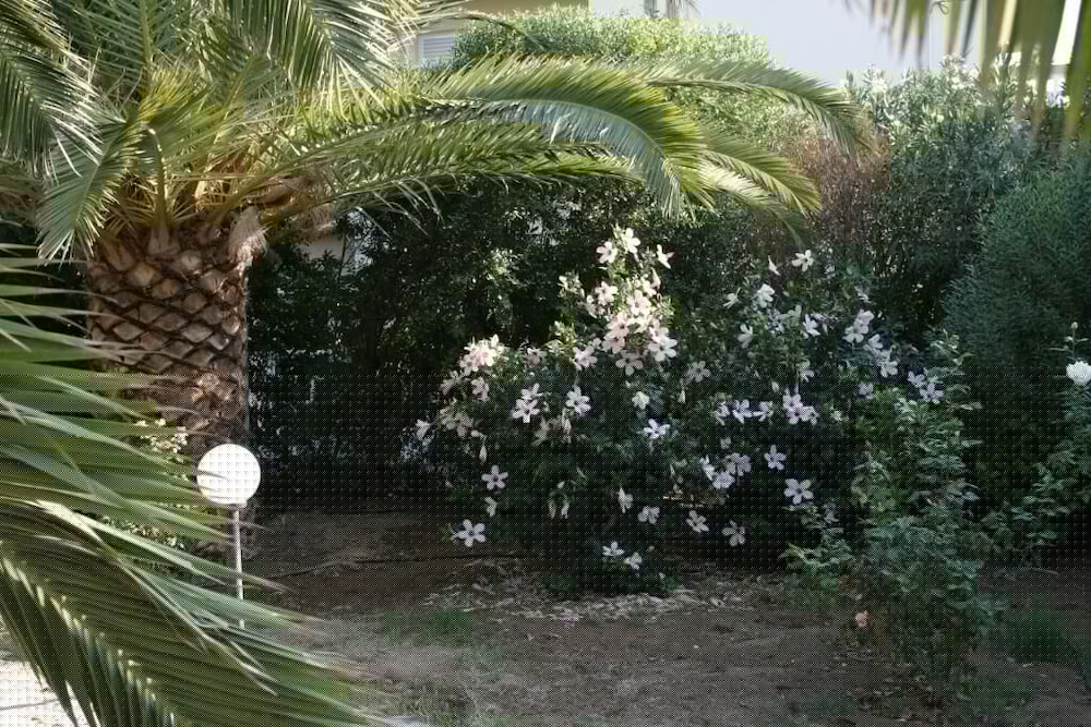 Фото Gorgona Hotel