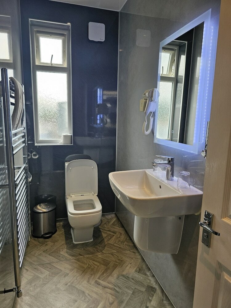 Фото Casuarina Tree