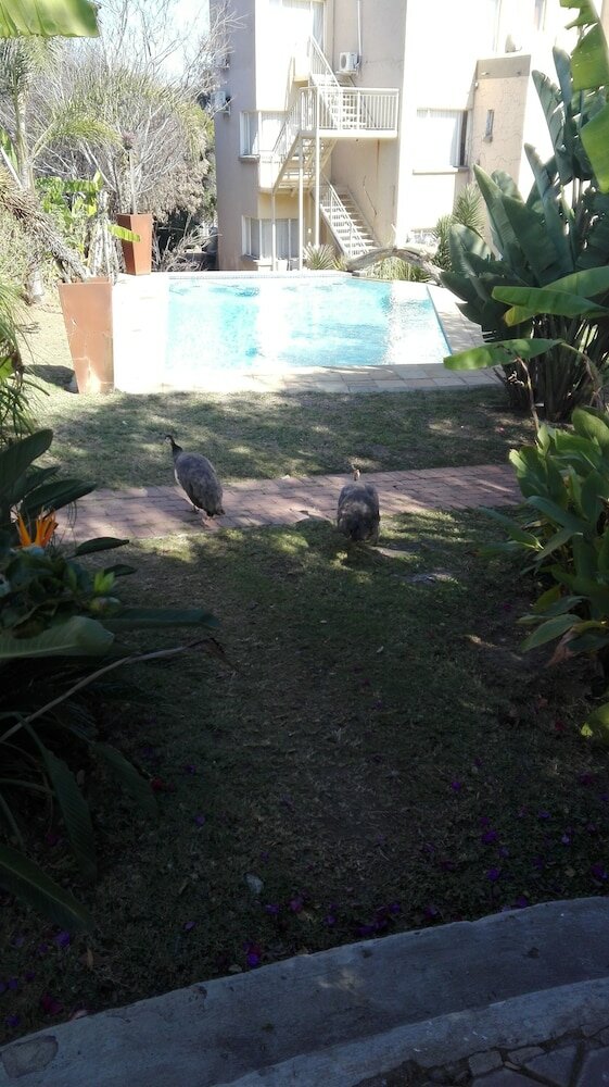 Фото Villa VIA - Midrand