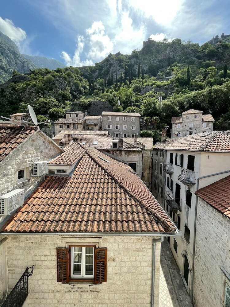 Фото Hippocampus