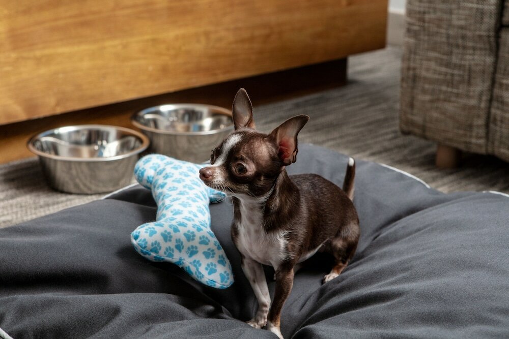 Фото Element Orlando International Drive