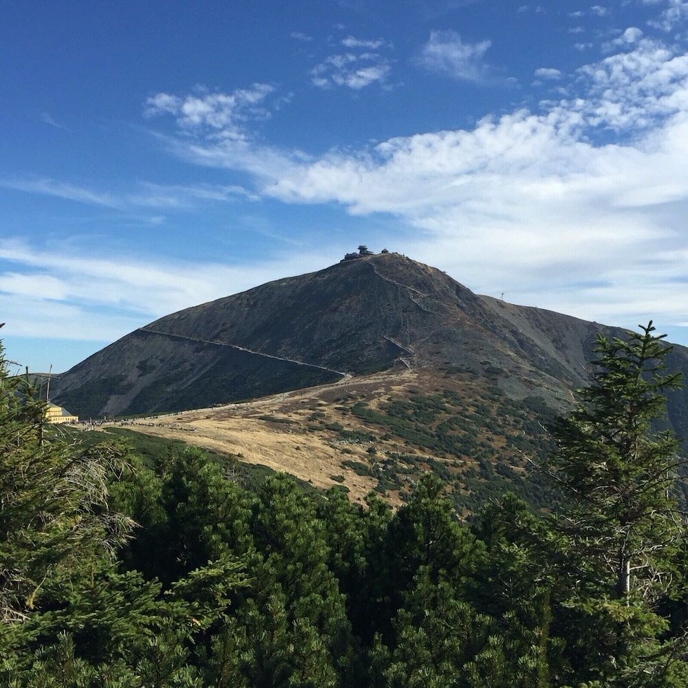 Фото Alpský hotel