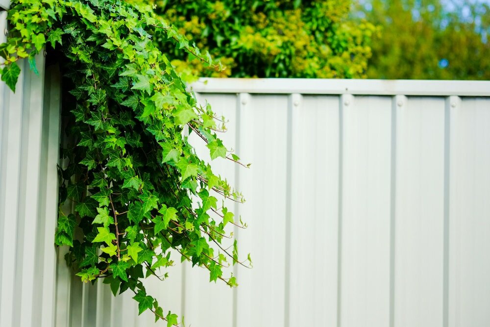 Фото Ann's Volcanic Rotorua Motel and Serviced Apartments