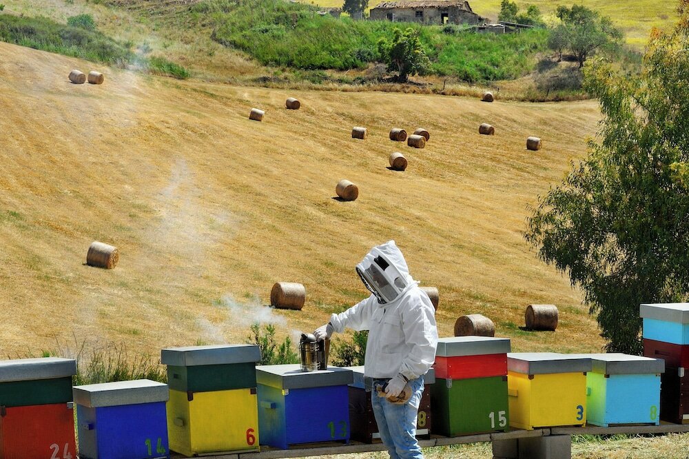 Фото Agriturismo Villa Dafne