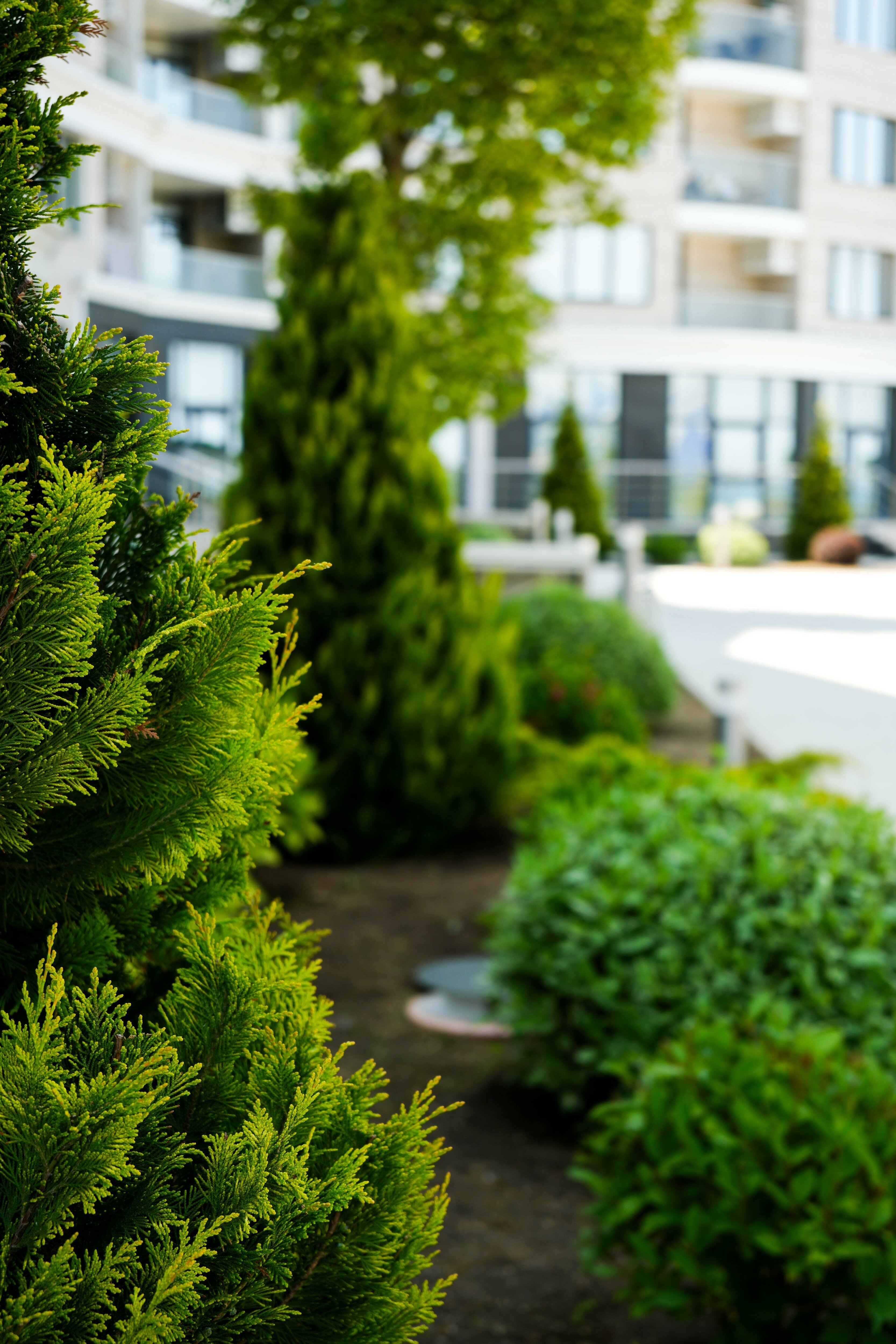 Фото Гарден