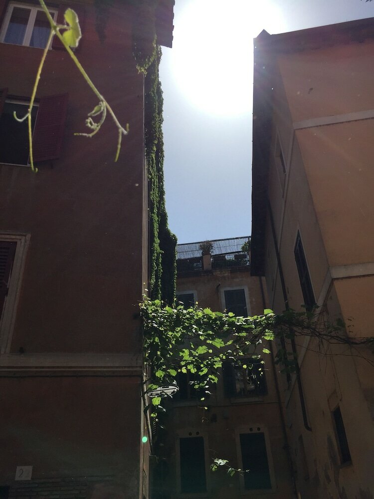 Фото Domus Tiberina