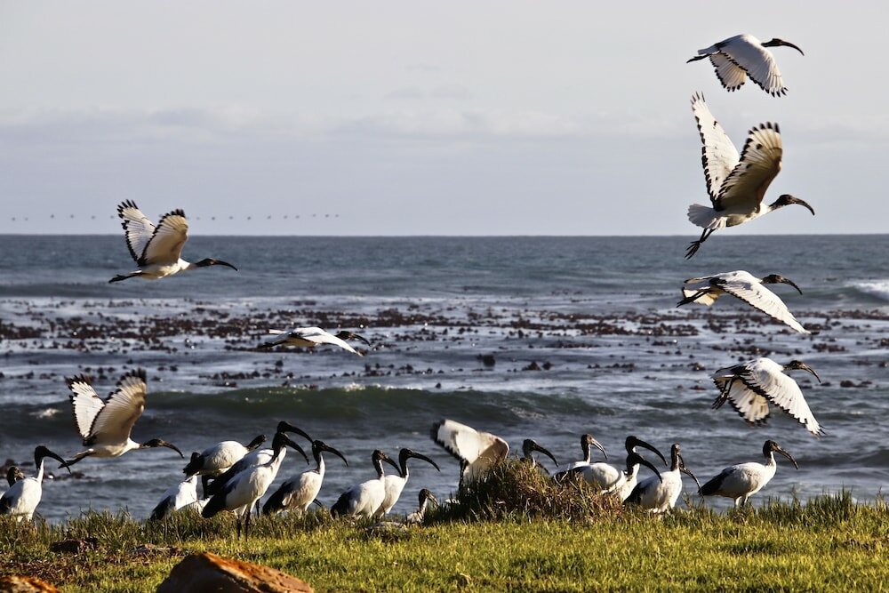 Фото Dongola House