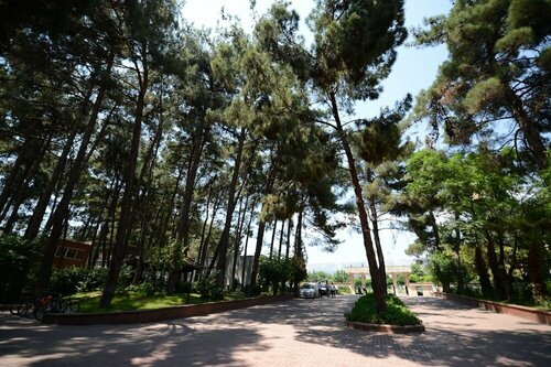 Гостиница Arsan Otel в Дулкадироглу