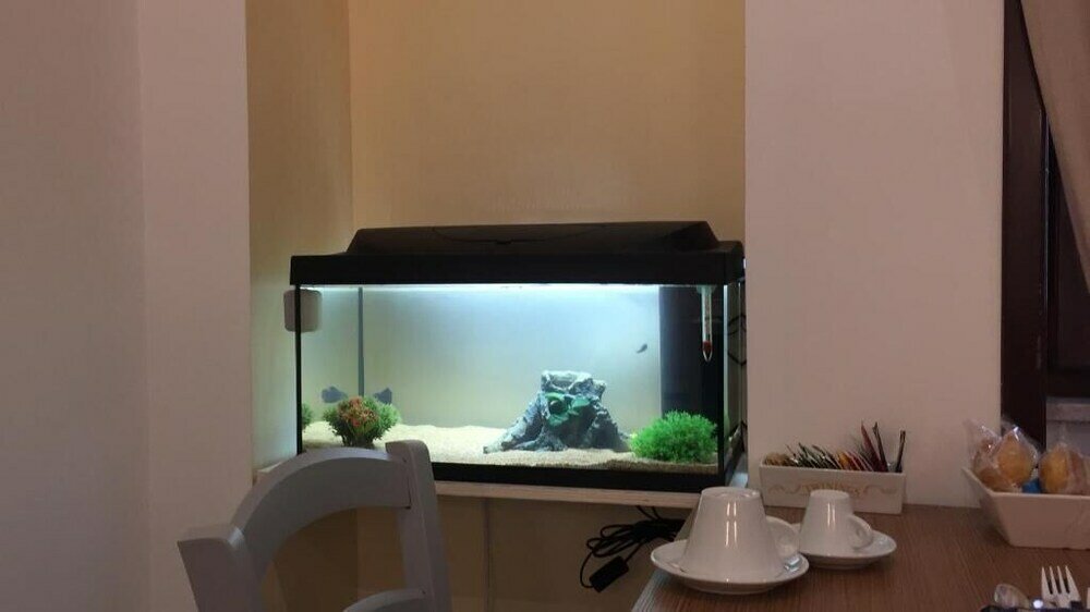 Фото B&b Prestige