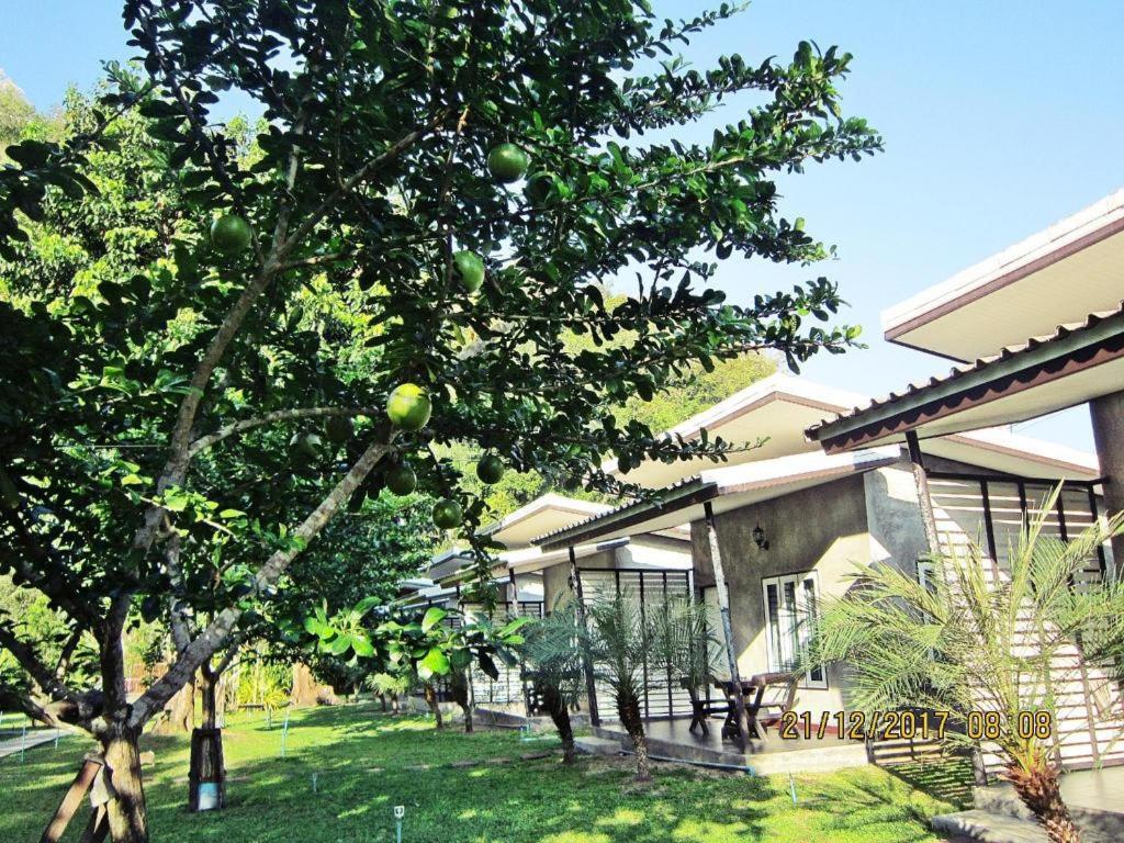 Фото V Valley Resort