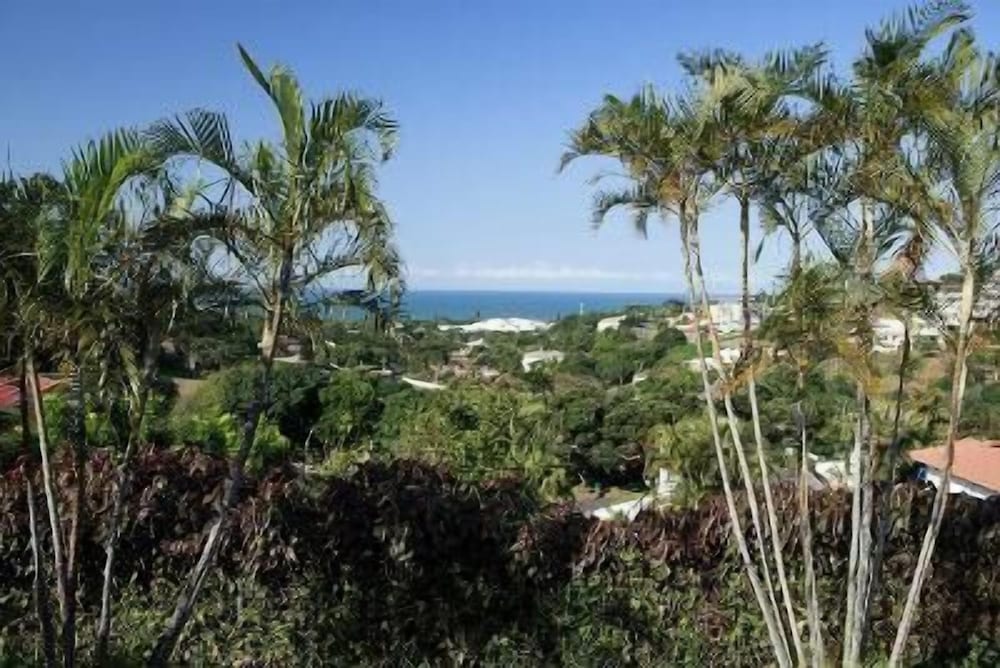 Фото Seaview Manor Exquisite Bed & Breakfast