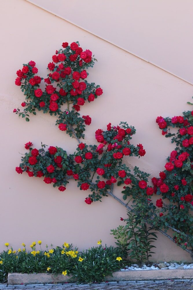 Фото Отель Pegasus