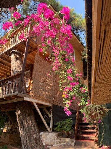 Внешний вид отеля Turan Hill Lounge в Фетхии, фото 2