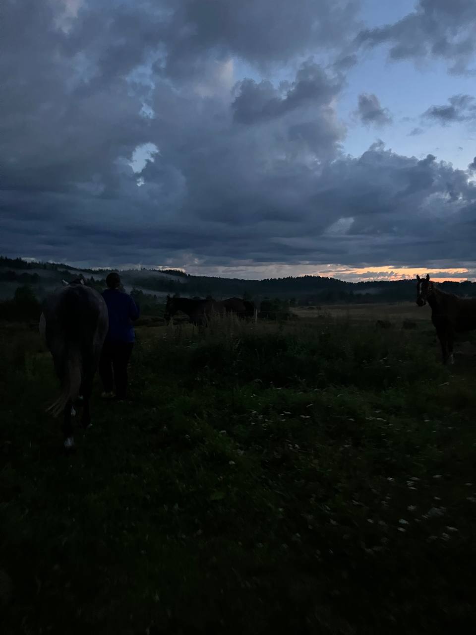 Фото Конюшенный двор