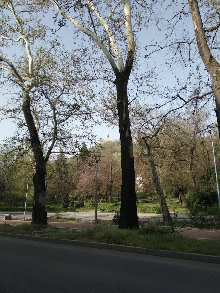 Фото Ginger House