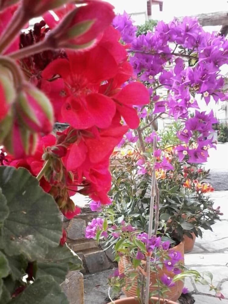 Фото Hotel Morfeas