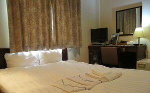 Гостиница Hotel Green With