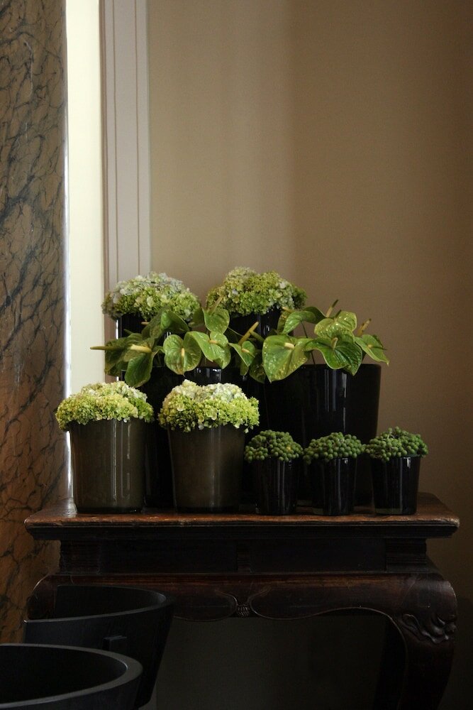 Фото Paradise Road Tintagel Colombo