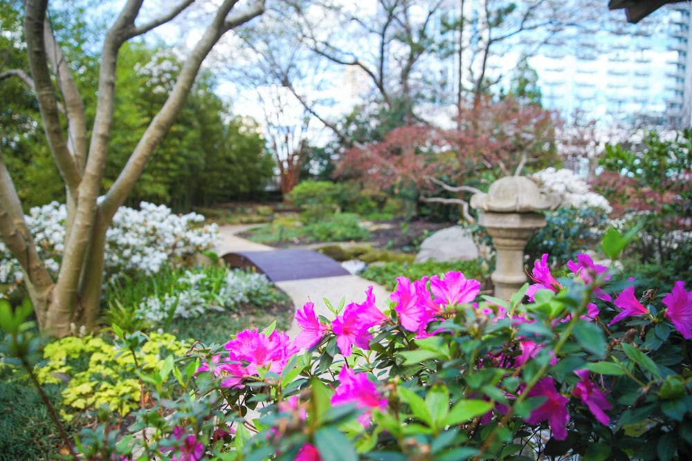 Фото Grand Hyatt Atlanta in Buckhead