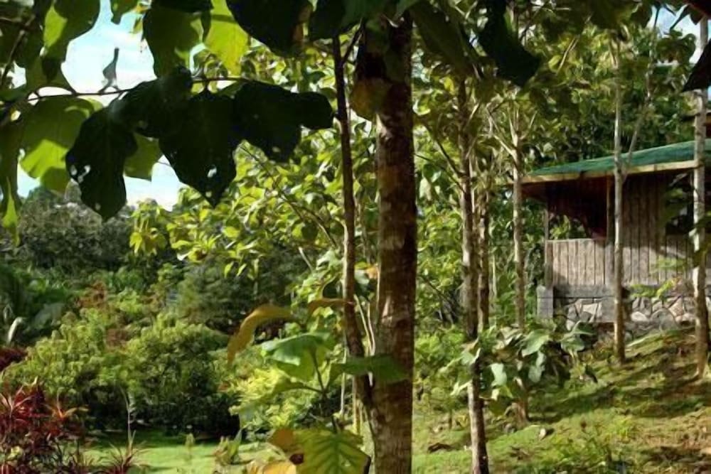 Фото Sepilok Jungle Resort