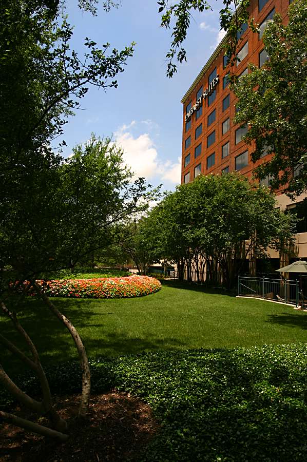 Фото Embassy Suites by Hilton Dallas Love Field