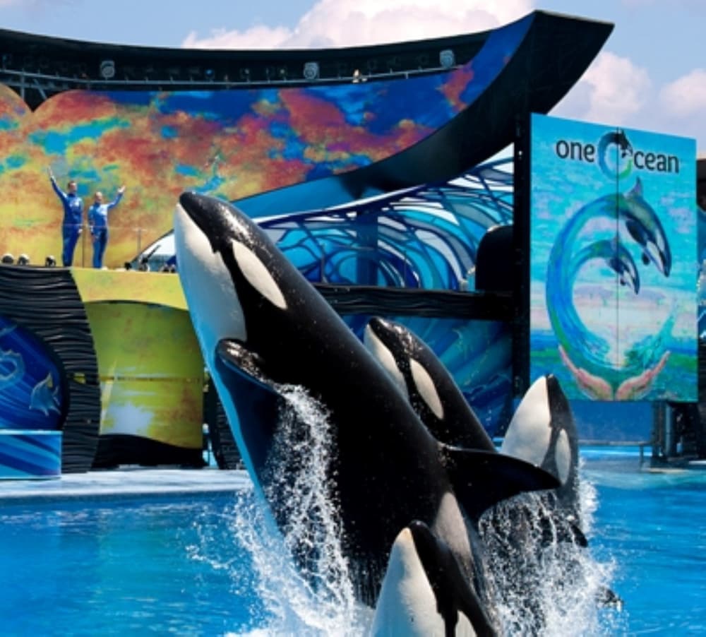 Фото Holiday Inn Express San Diego Sea World - Beach Area, an Ihg Hotel