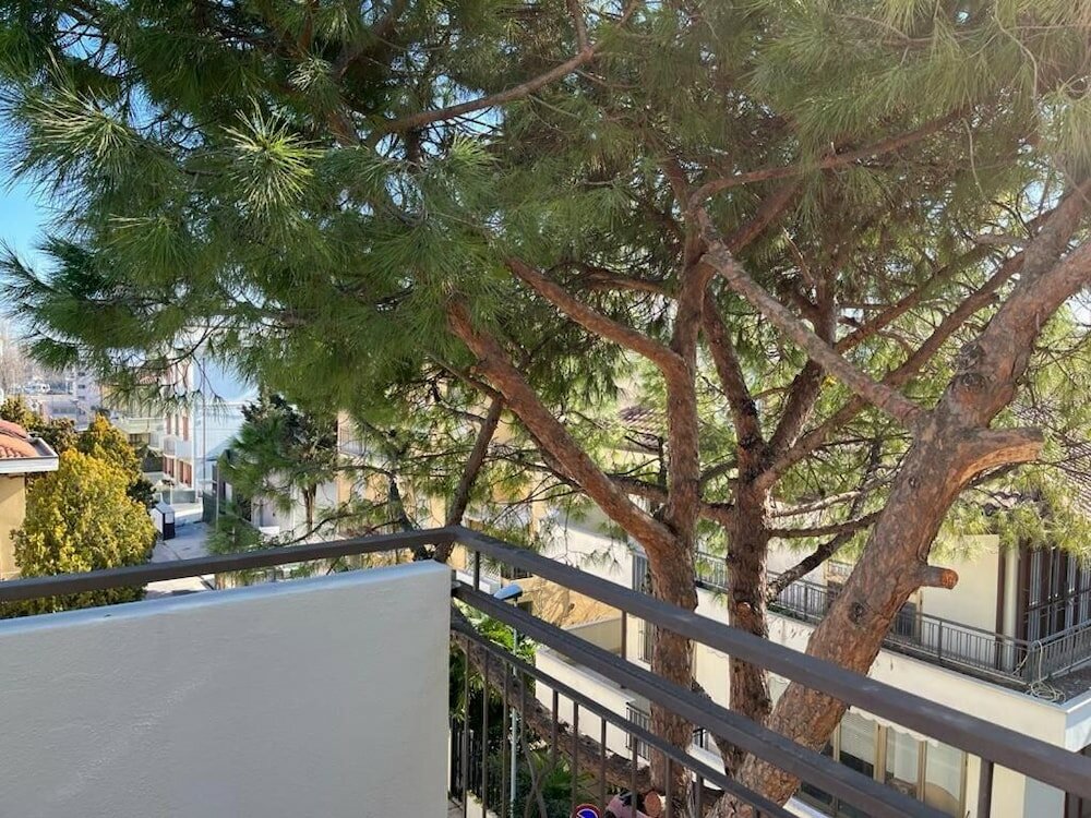 Фото Hotel Brown