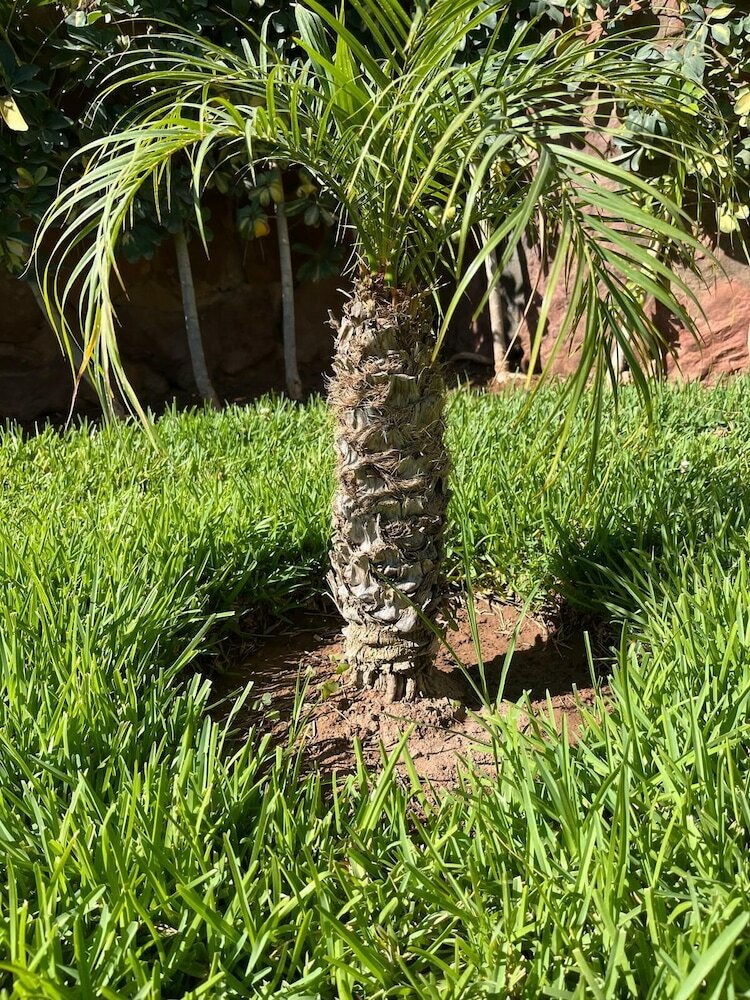 Фото Chez Mamouchthka