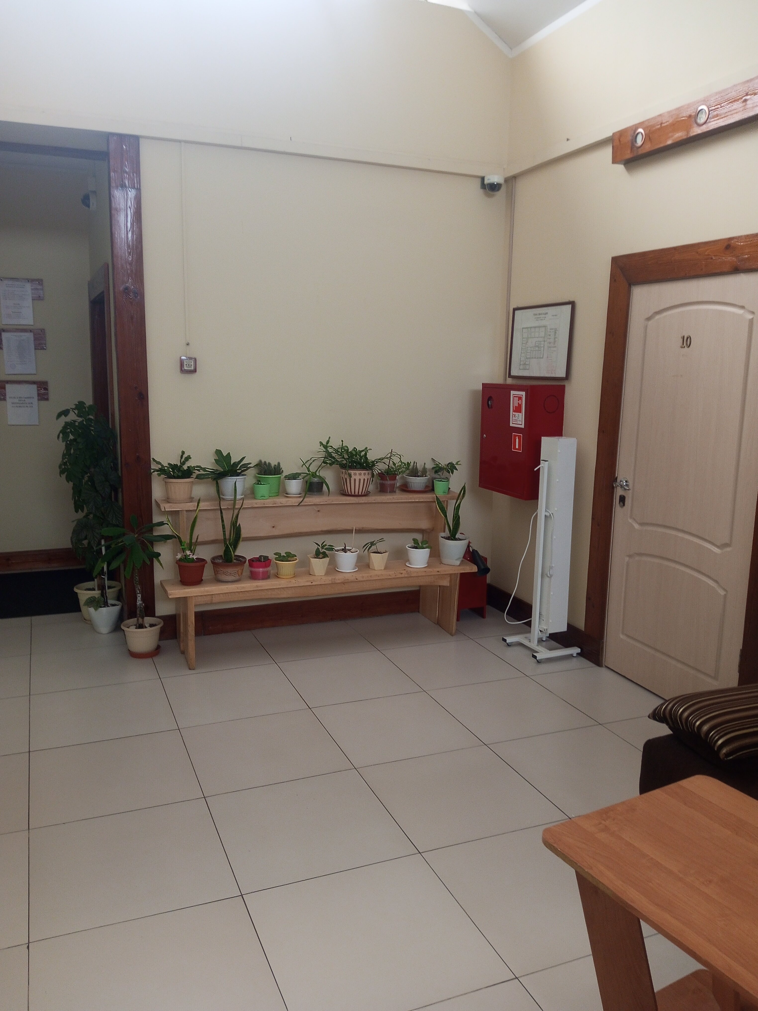 Фото Маршал