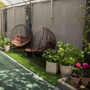 Фото Серый гусь